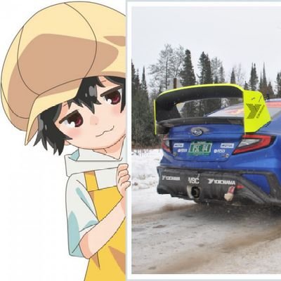 ziptieshibari's profile picture. no amount of aspirin or pizza could help this from hurting
                                                                         υ´• ﻌ •`υ
alt: @brapbeliever