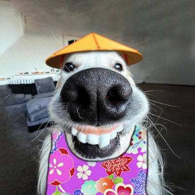 UglyOgama's profile picture. 