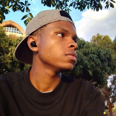 TheRealRobbinn's profile picture. Economics, Statistics 
中文