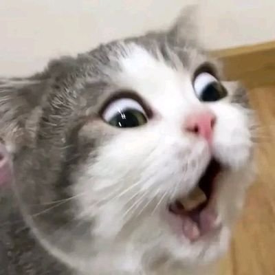 hrrybwel71's profile picture. yiu iyu