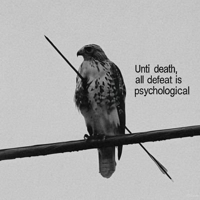 bright_snipe's profile picture. Not Every thought must be understood 👽 ||  Building Construction Engineer 🏗️ 🏘️ || Variety is the spice of Life.👾🫨