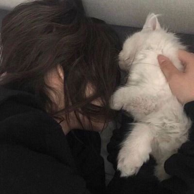 y_so_seiurus's profile picture. How am I stressing and not giving a shit* at the same time!