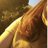 safeareaku's profile image