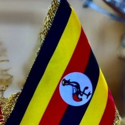 FrankGashumba's profile picture. Chairman Mali Group, Co-Founder Sisimuka Uganda, Co-Founder Council for Abavandimwe, Vice Chairman PLU Central Region.