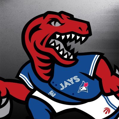 Raptors's profile picture. Tweets from the North. #WeTheNorth