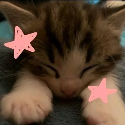 saba52453's profile picture. Alone but he's the only 
one I want