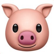 oink_oink10's profile picture. Hello World