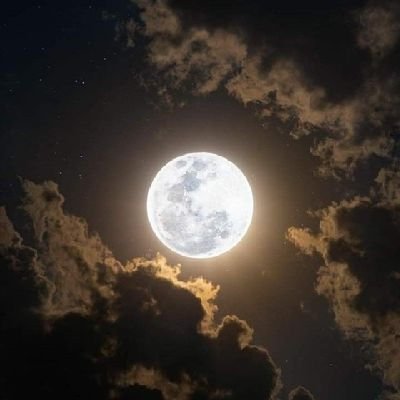 Israa_AS87's profile picture. Future Social Worker✨