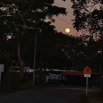 ViccLyna's profile picture. Los lyniel me salvaron la vida 💗
