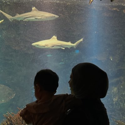 zizidashty98's profile picture. Bachelor of Law⚖️ | Civil Aviation @Kuwait_DGCA