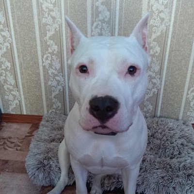 iBlastxxx's profile picture.