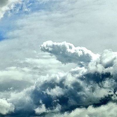 SymphonyLetters's profile picture. 
