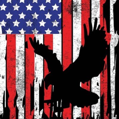 greatfulrick's profile picture. Loving Husband and Father  and Freedom Fighter for America 🇺🇸 land of the free because of the Brave
