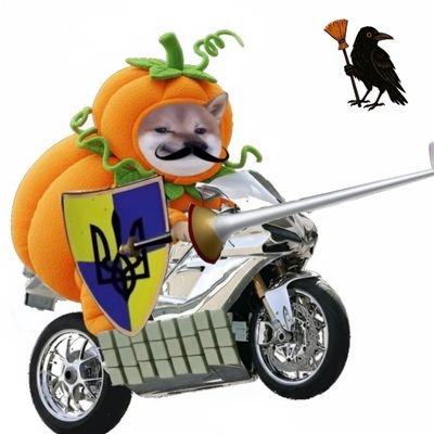 NicoletteNAFO1's profile picture.
