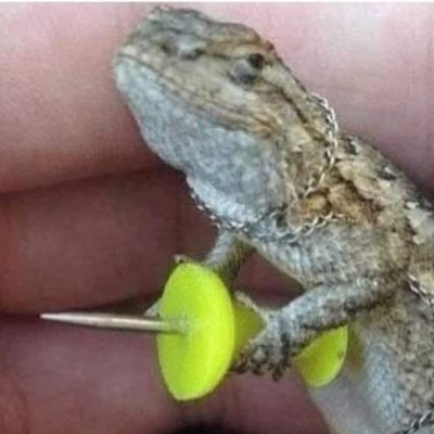 ParKisum's profile picture. 😈