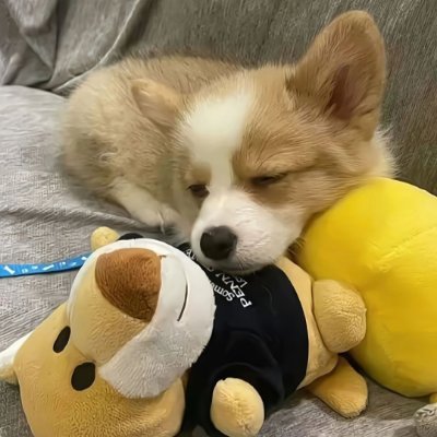 Rima10297453's profile picture. 🍷Food, ⛳️Golf, 🌊Beach, ⚾️Baseball, 🚗Sports Cars, 🎧Music, 🏄♀️Surfing, 🛫Travel enthusiast, Food fanatic, I love working out and traveling for good food.