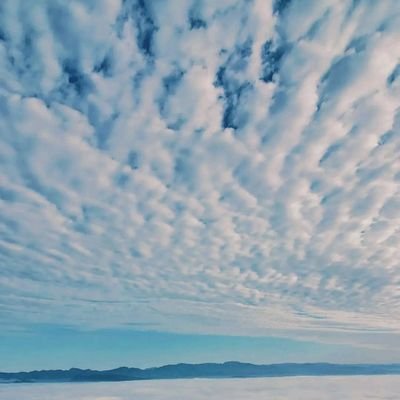 Me332013Mohamd's profile picture. يعمل في مجال المحاسبه والمراجعه