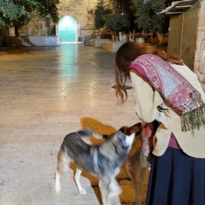 tziporapr's profile picture. 𓉱 | 🕊️🇮🇱 | תן חיוך הכל לטובה