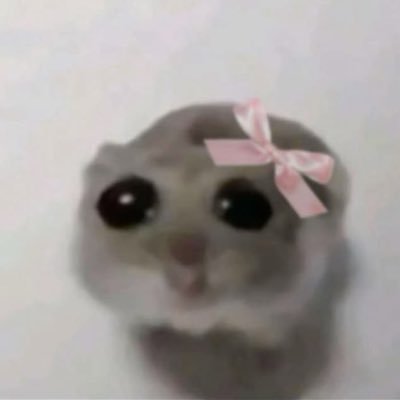 mclmanuella's profile picture. she/her