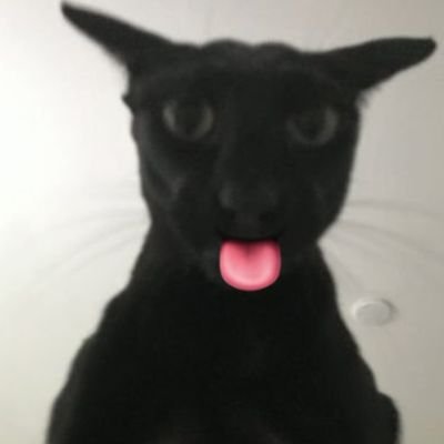 evilllarry's profile picture. father figure🔥