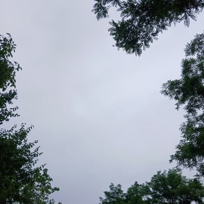 kby50117286's profile picture. 상호신! 말보단 행동으로 보여 드림
레버업에 초점을 맞추고 있어요. 현재 레버업 86위로 레버업에 상호작용 해주세요.