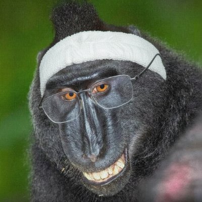 dev_fernandojr's profile picture. Coroné e único astronauta da força aeroespacial do Sacro Império de Reino de Ratanabá