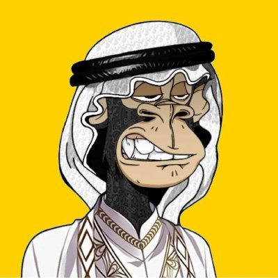 MOHAMED94715372's profile picture. Web3 native. Forever early.