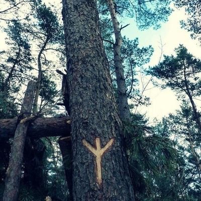 wrackspade's profile picture. ~I'm not concerned with the Times, but with the Eternities.~ A. Schopenhauer