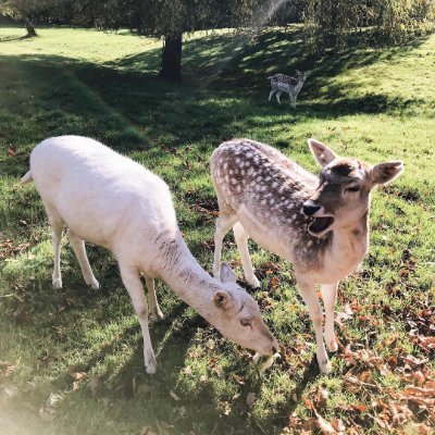 maddux_dora's profile picture. If someone affects your emotions, your focus should be on controlling your emotions, not on the person who affects you.