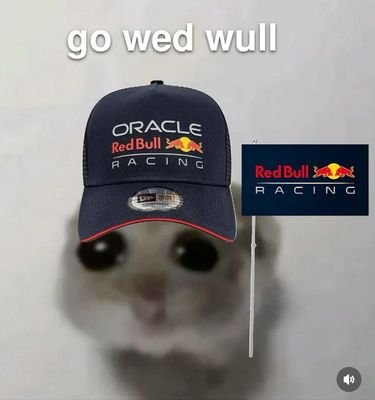 kq1xie737's profile picture. 