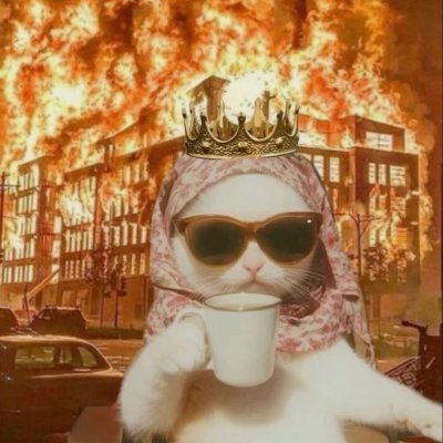 phoolwa_'s profile picture. i dont care what u think. mostly annoyed account, follow at own risk (she/her)