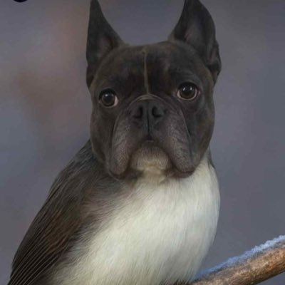 Lukasz16746641's profile picture.
