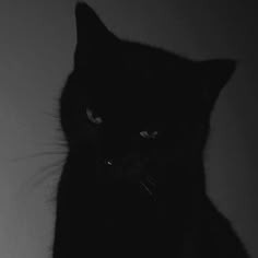 ChrolloSZN's profile picture.