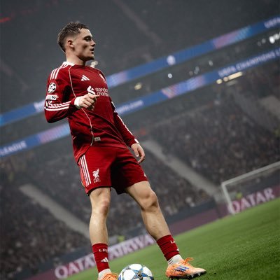 wadelfc77's profile picture. Professional Arsenal despiser | Come at me Arsenal fans