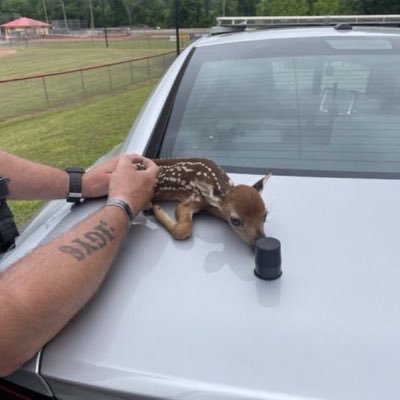 zokecer0's profile picture. 18+ and black