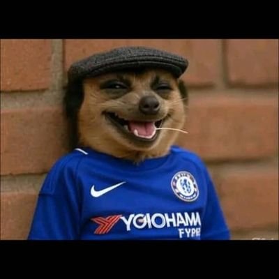 ANCESTOR3234's profile picture. 