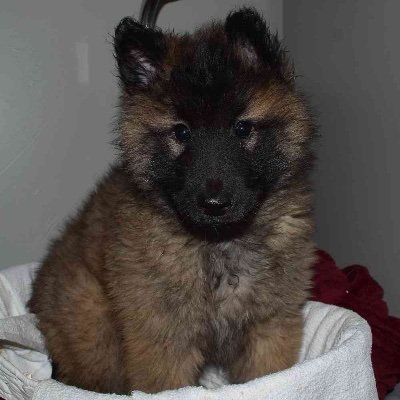 3054587753nc's profile picture. n/a