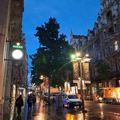 eeckhout_l82081's profile picture. is 9.5 inches enough??