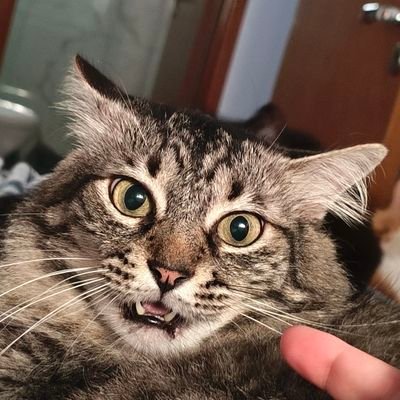 dandp0s's profile picture. sei la ome