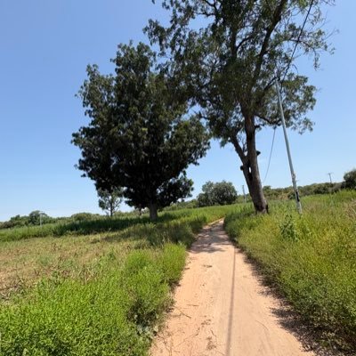 omarsonko43106's profile picture. Child of Christ ☦️🤍
