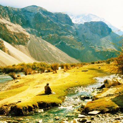 MerwaisIB's profile picture. 