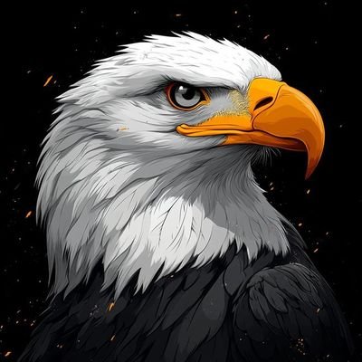 sanahkhamisani's profile picture. content writer | blogger | journalist | artist and social media activist | 
وما توفیقی الا بالله