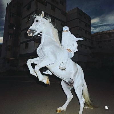 Mevi247's profile picture. 