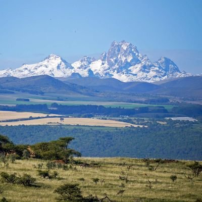 _Nuclear_10's profile picture. 