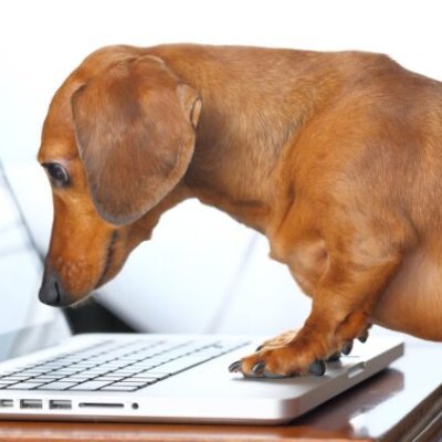 dog_of_control's profile picture. 