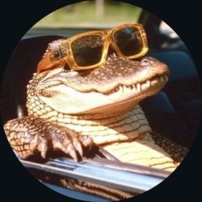 notacroc_exe's profile picture. A gator surviving in this crocodile world