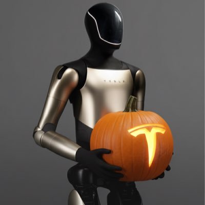 TeslaAIBot's profile picture. 
