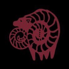 grifffbrcc's profile picture. 