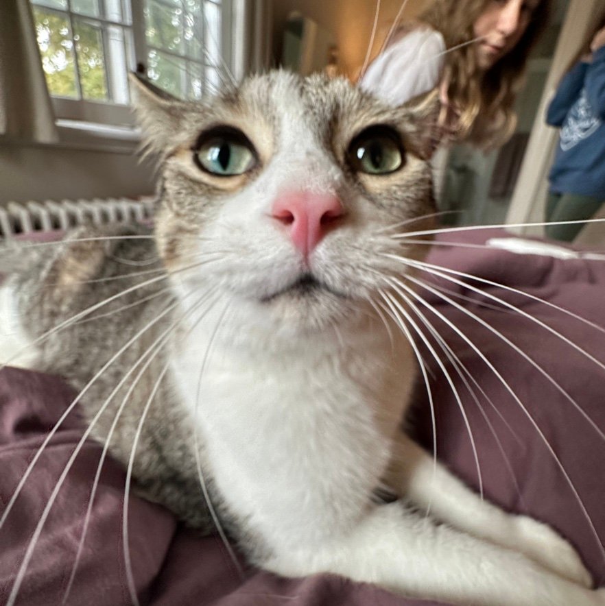 tobymorre's profile picture.
