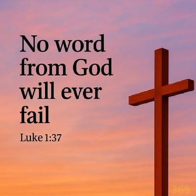 Michaell3457's profile picture. Chris ✝️✝️